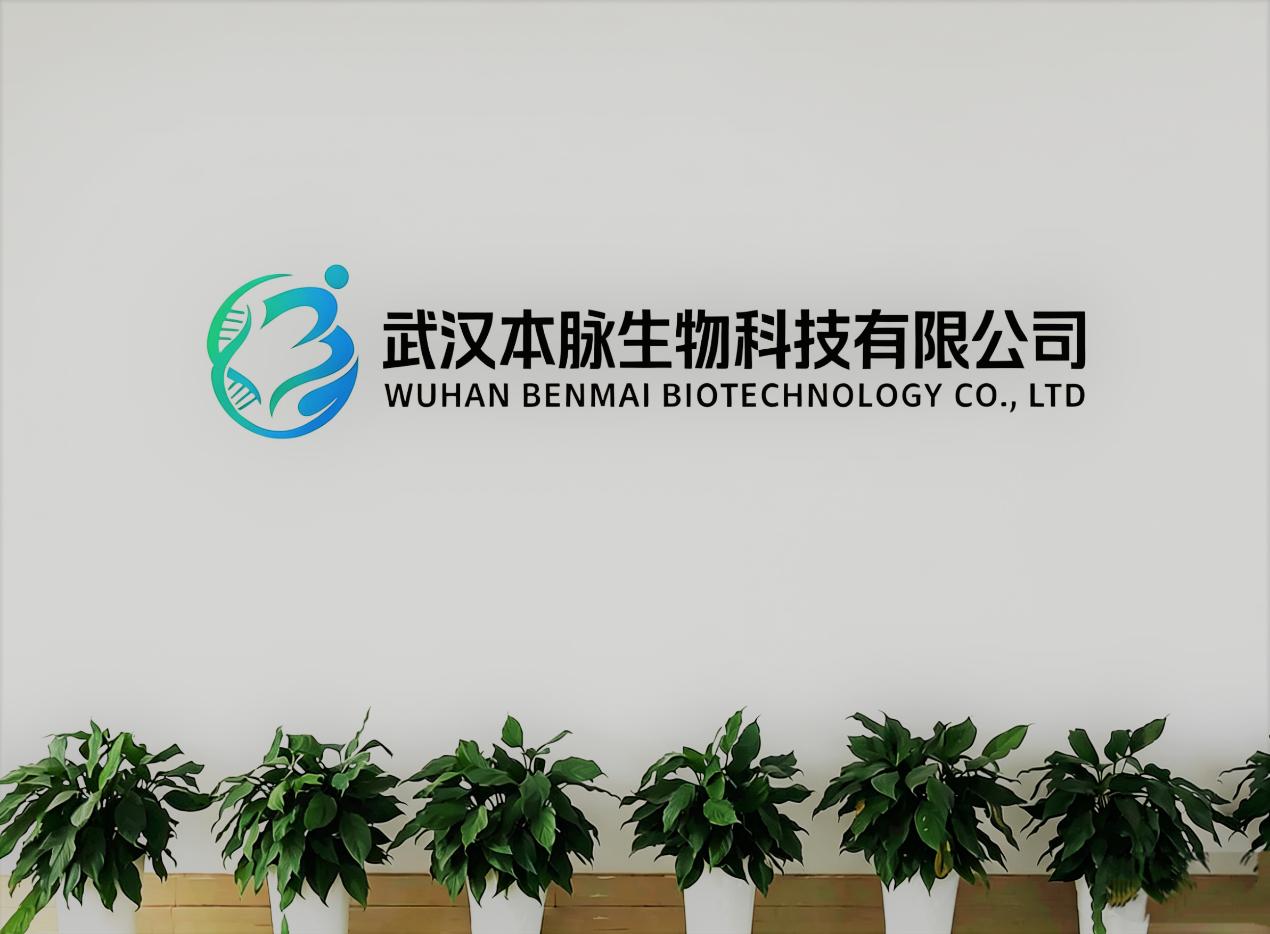 公司环境