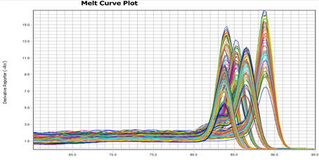 荧光定量 PCR（qRT-PCR）