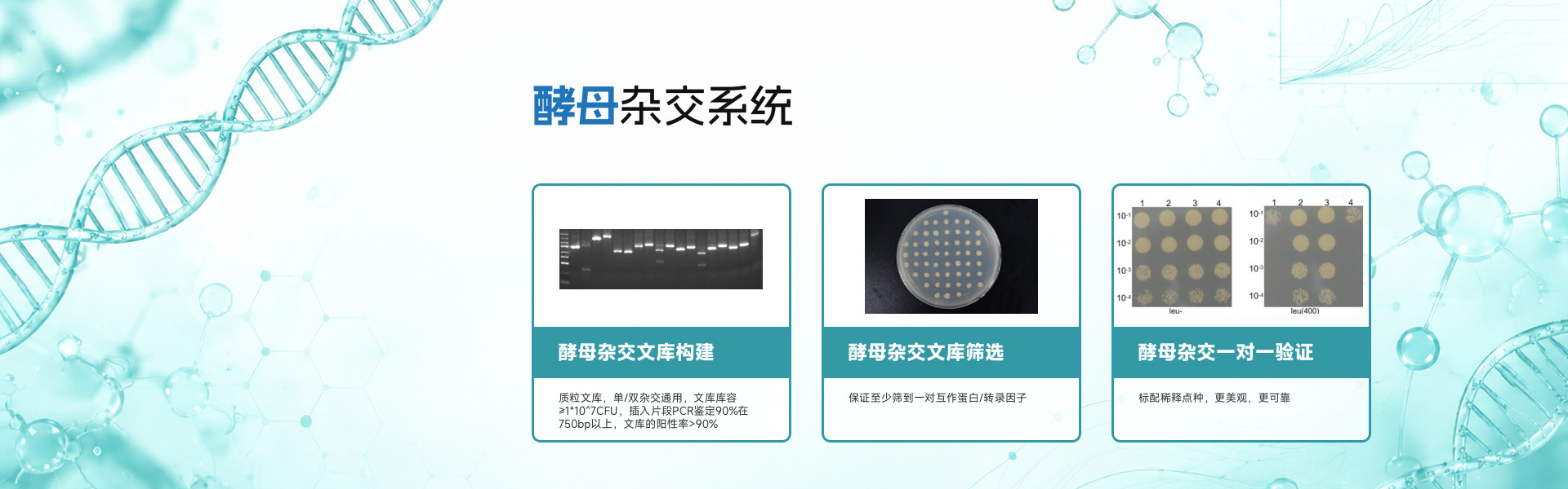 武汉本脉生物科技有限公司