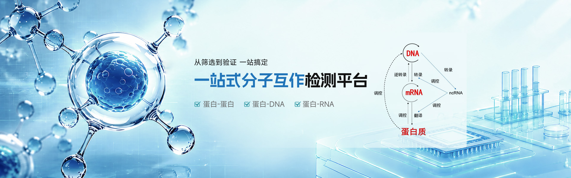 武汉本脉生物科技有限公司
